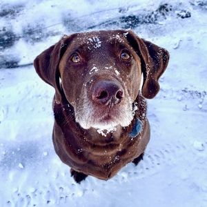 Meet your Posher, Colin